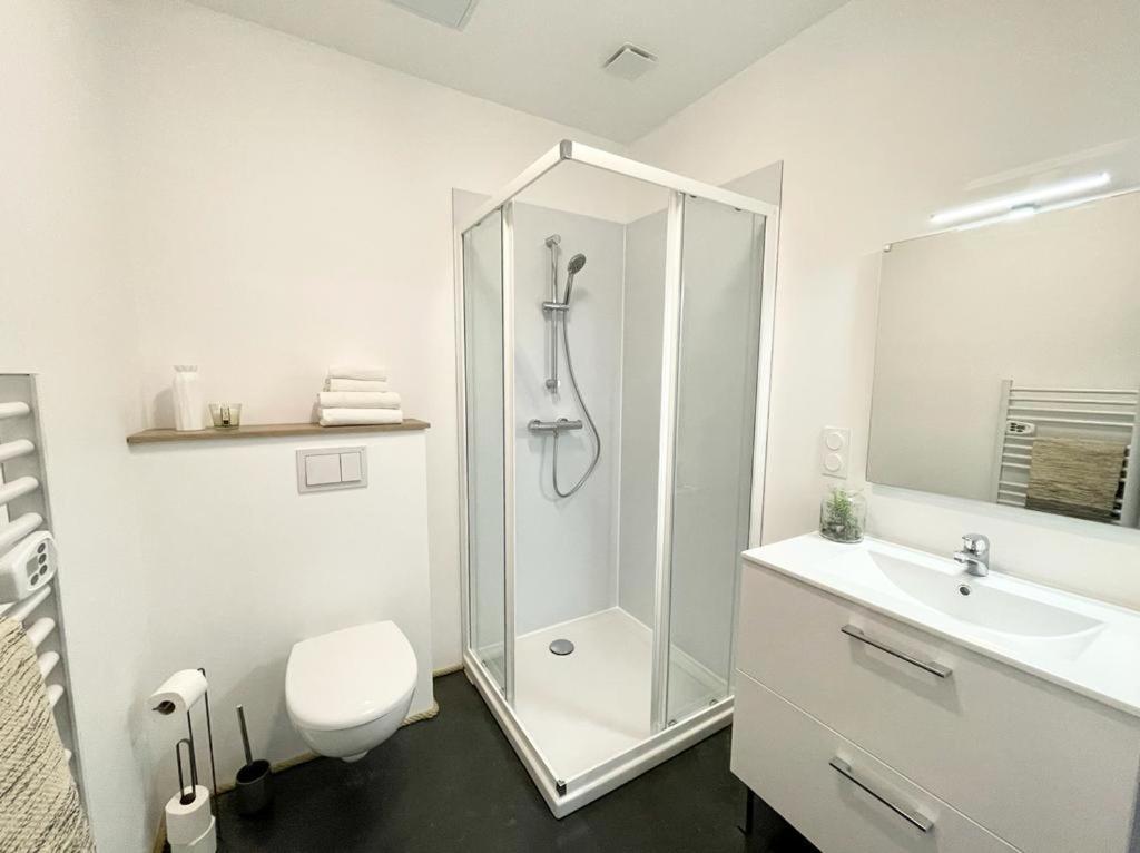 Le Chic - Parking - Exterieur - Fibre - Calme Apartment Mont-de-Marsan Bagian luar foto